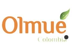 Olmué